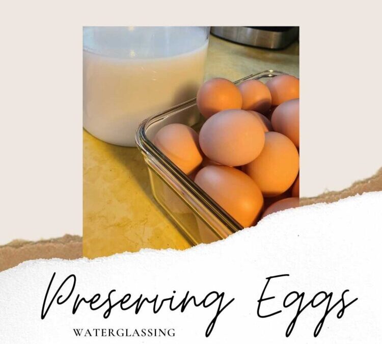 waterglassing-eggs-organize2prioritize